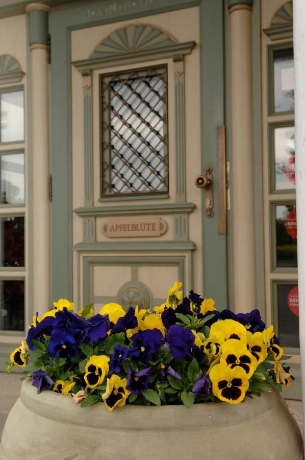 Apfelbluete Bed & Breakfast 8 Km Vom Bodensee Залем Екстер'єр фото